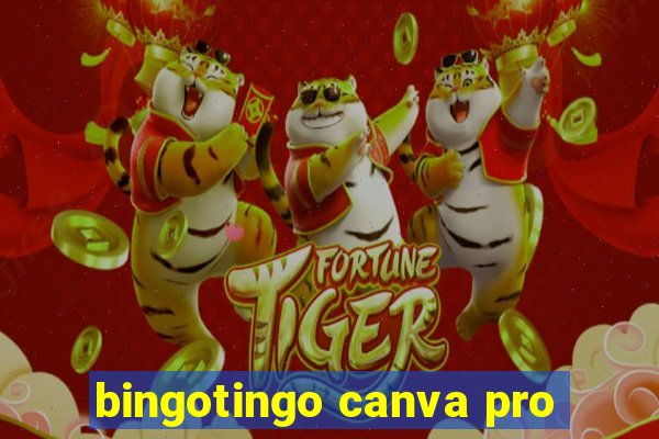 bingotingo canva pro
